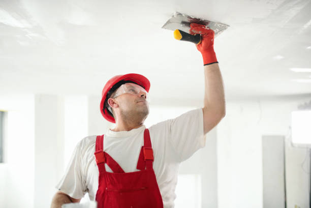 Best Drywall Crack Repair  in Sigourney, IA